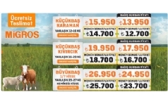 Migros Kurbanlk Sat 2025