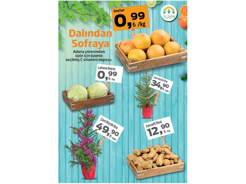 Migros 10 - 23 Aralk Migroskop Dergisi - 14