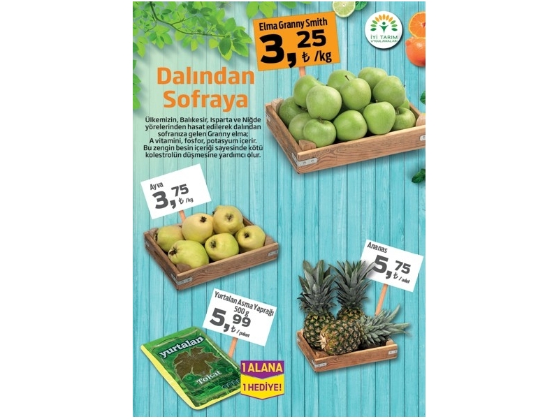 Migros 24 Aralk Migroskop - 15