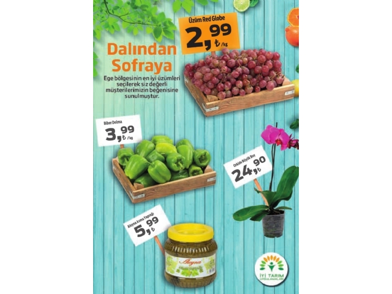 Migros 13 - 26 Ekim Migroskop Dergisi - 26