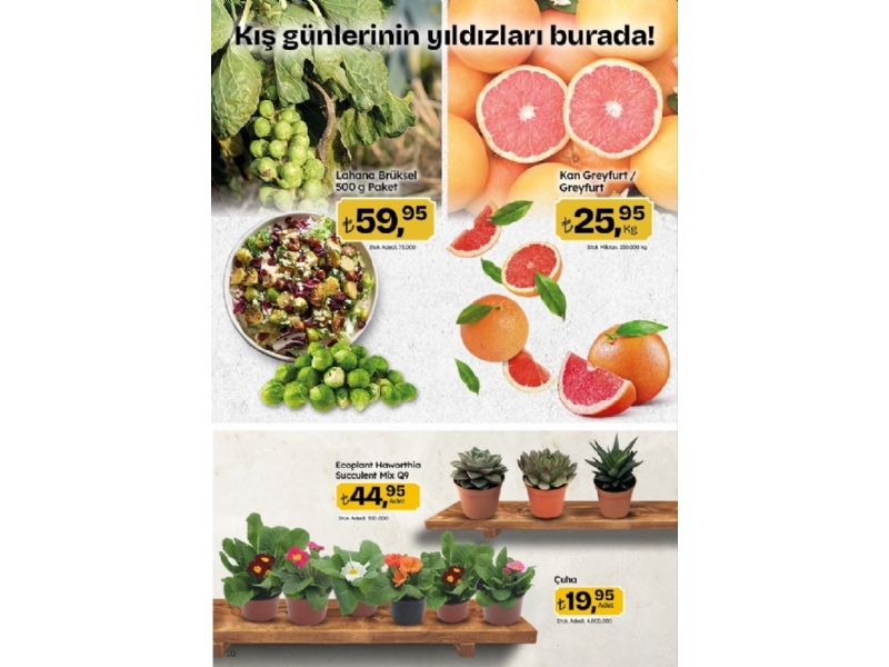 Migros 9 - 22 Ocak Migroskop - 10