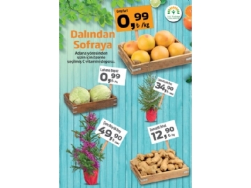 Migros 10 - 23 Aralk Migroskop Dergisi - 14