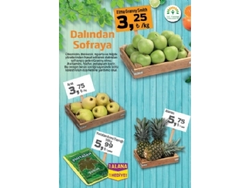 Migros 24 Aralk Migroskop - 15