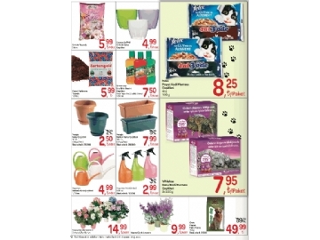 CarrefourSA 5 - 19 Mart - 22