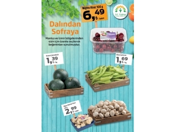 Migros 9 - 22 Haziran Migroskop - 31