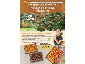 Migros 29 Austos - 11 Ekim Migroskop - 18