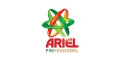 Ariel Professional Logo