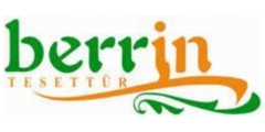 Berin Logo