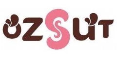 zst Logo