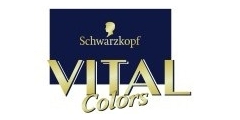 Vital Colors Logo