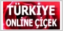 Trkiye Online iek