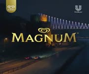 Magnum ekili 2020